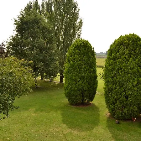 Santa Rita B&B *