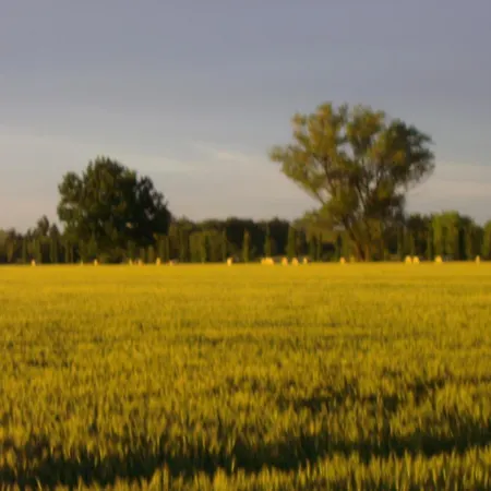 ベッド・アンド・ブレックファスト Santa Rita