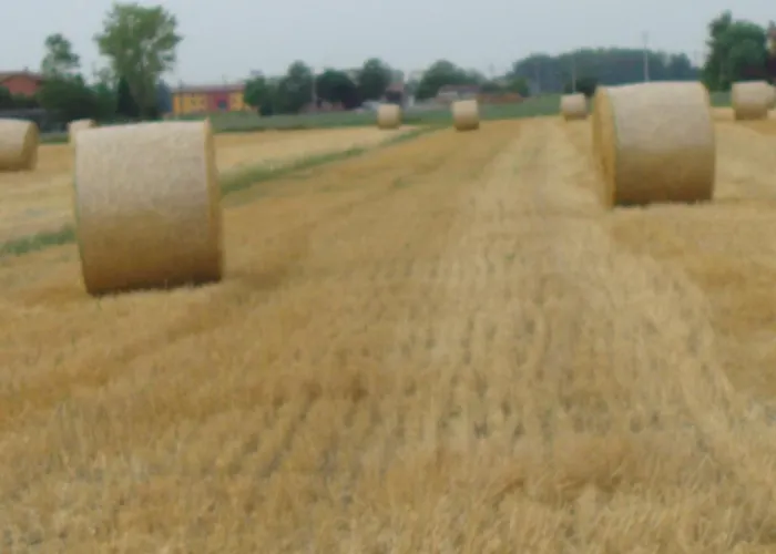 Готель типу 